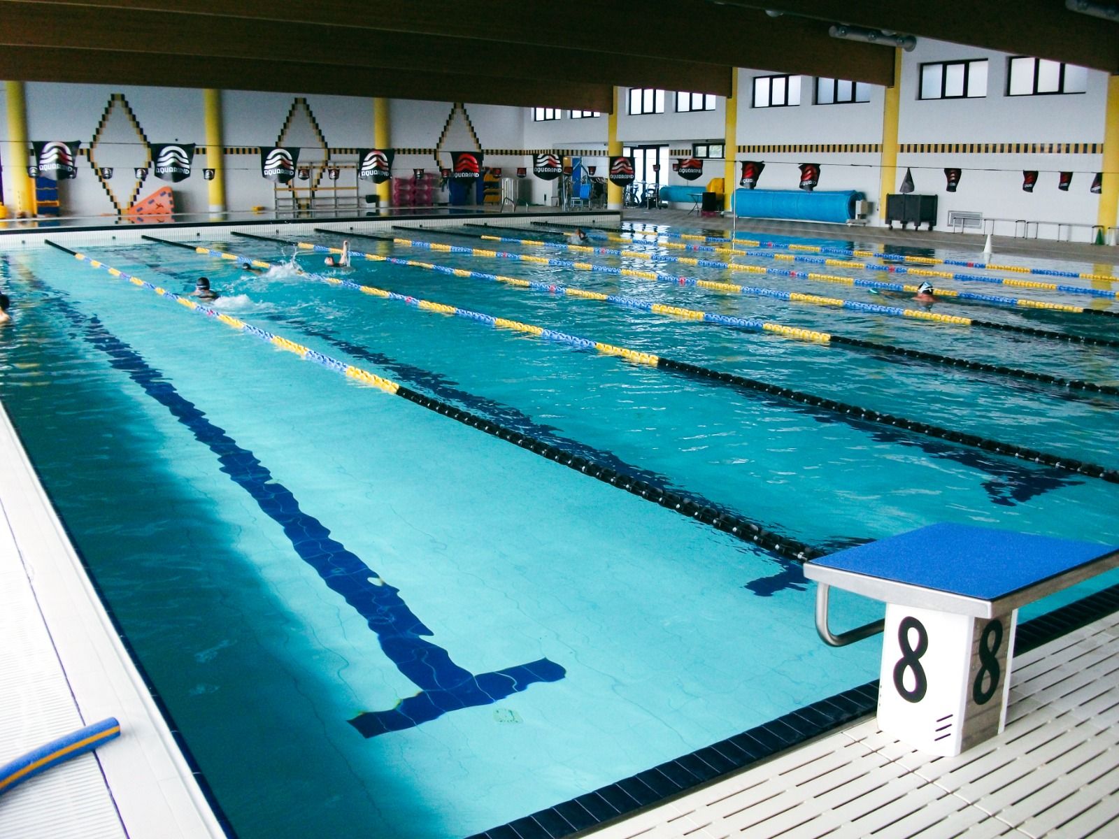 Innenpool mit markierten Schwimmbahnen, gelben und blauen Leinen und Startblöcken, ideal für professionelles Training