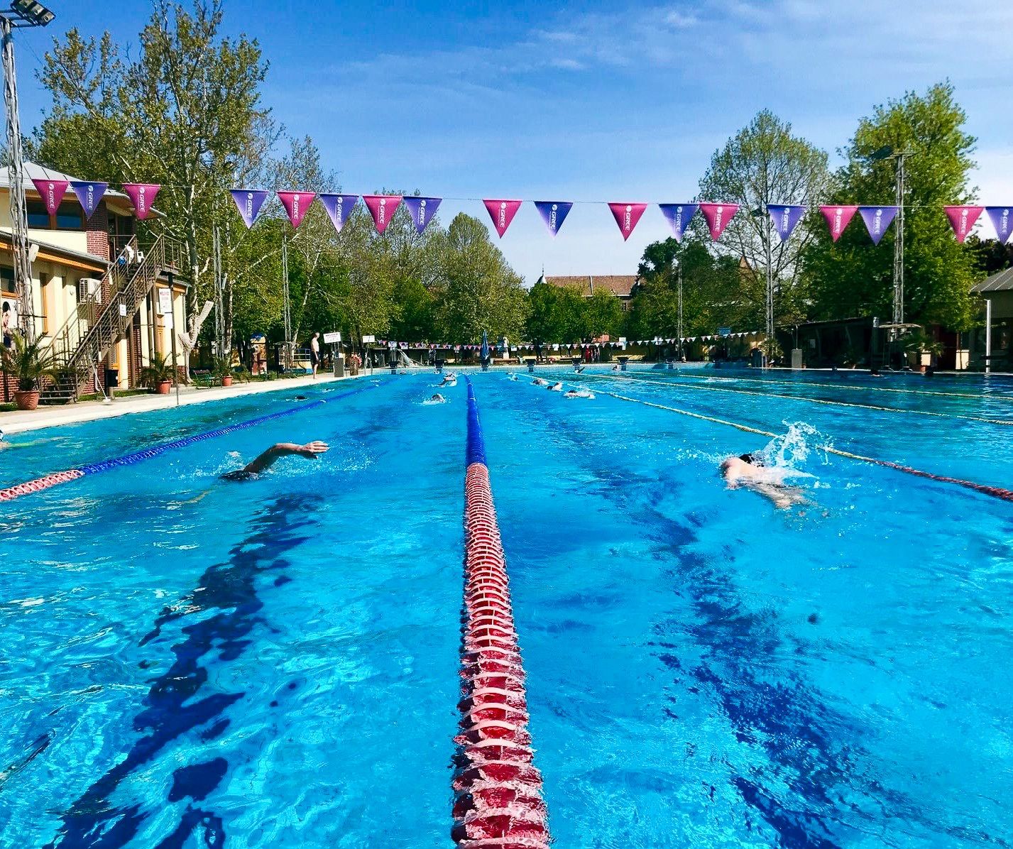 Großer Außenpool mit klar blauem Wasser und farbigen Bahnen, umgeben von Bäumen und Schwimmern im Training.