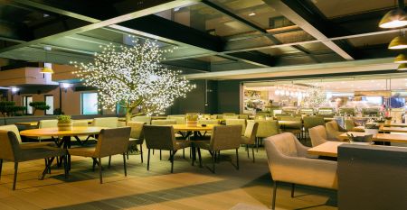 Au&szlig;enansicht eines modernen Hotelgeb&auml;udes mit Balkonen und einem begr&uuml;nten Vorgarten.