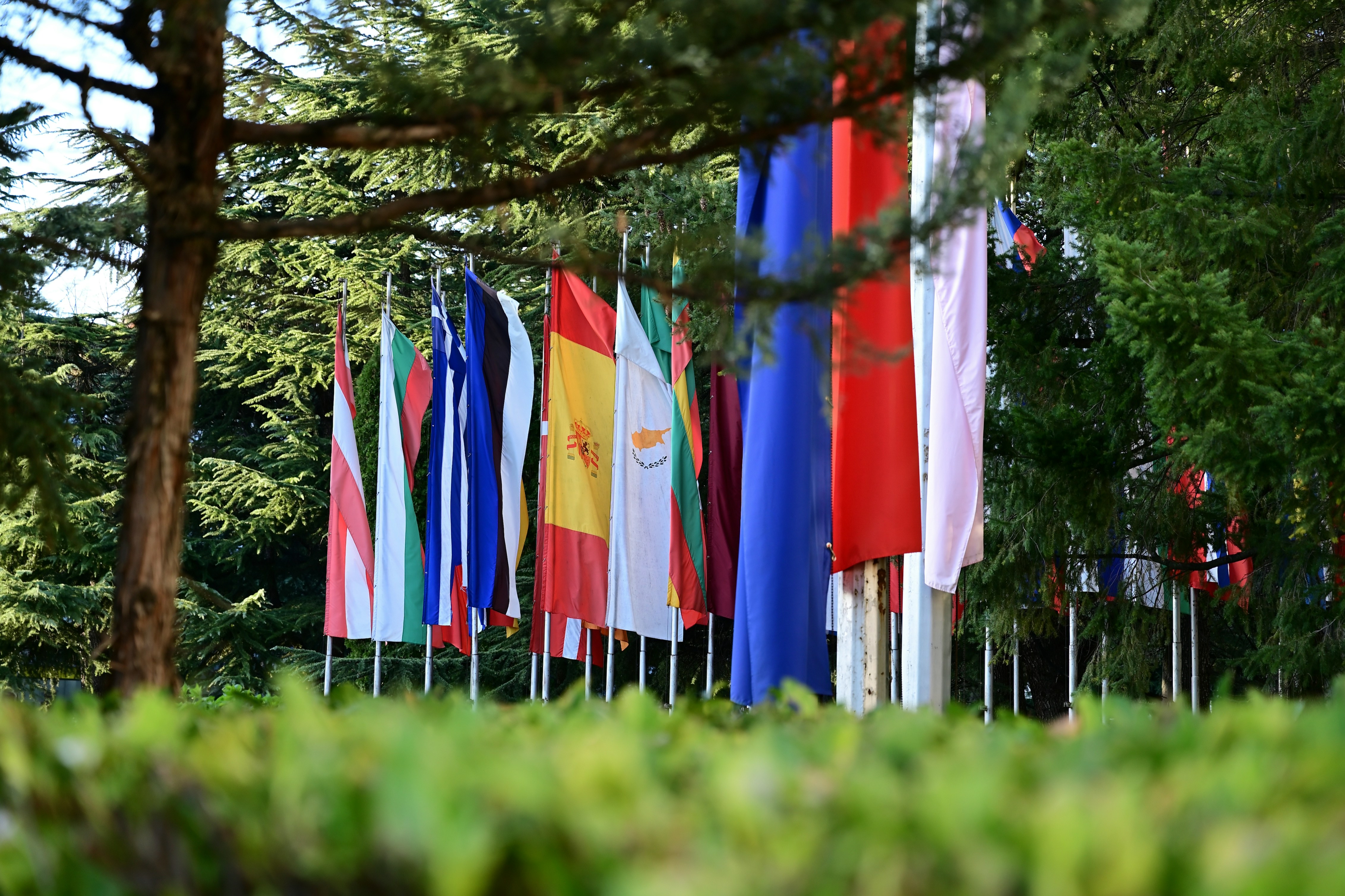 Reihe europ&auml;ischer Nationalflaggen inmitten gr&uuml;ner B&auml;ume.