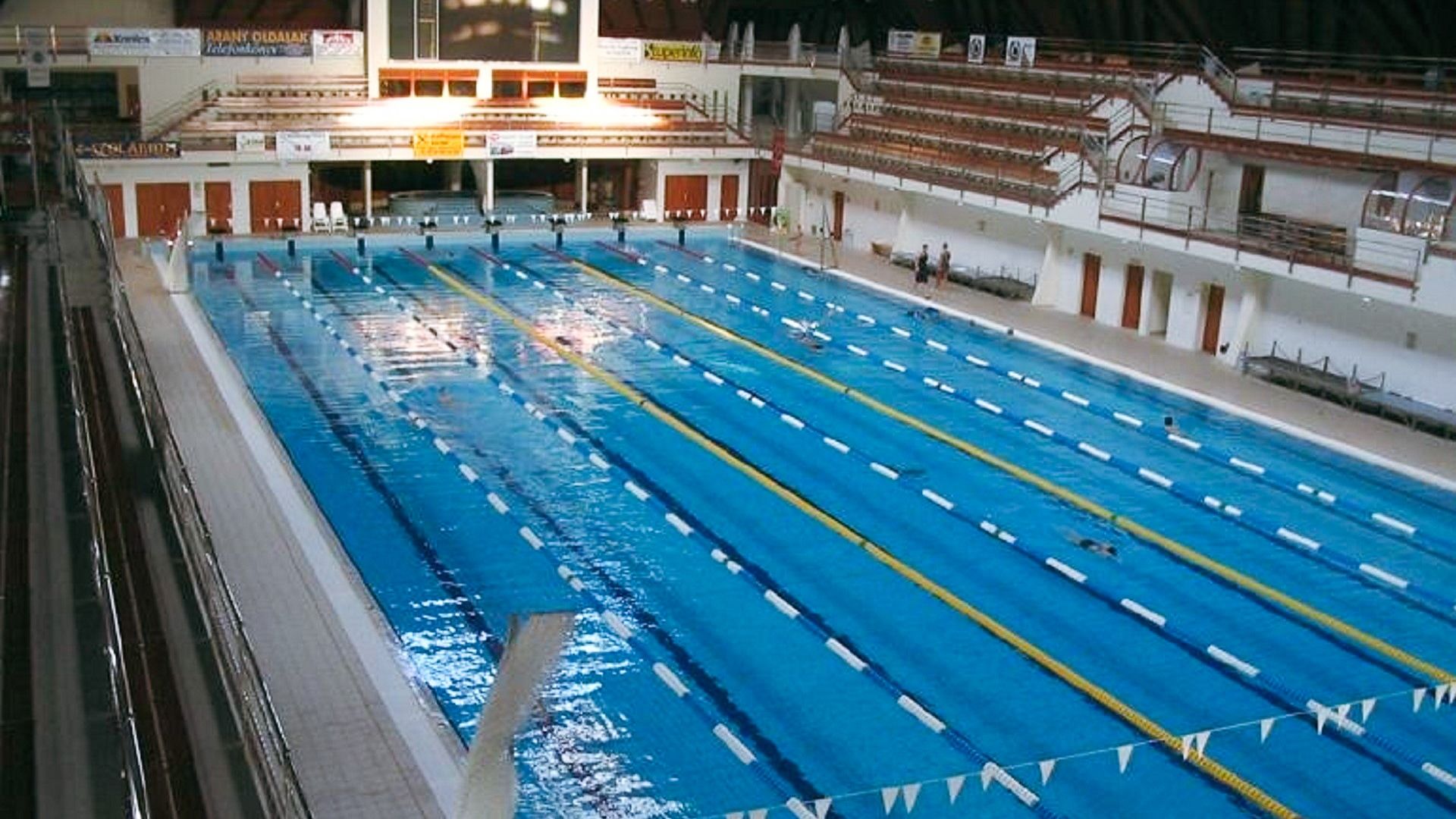 Leere Bahnen eines Wettkampf-Schwimmbeckens in einer geräumigen, gut beleuchteten Halle.