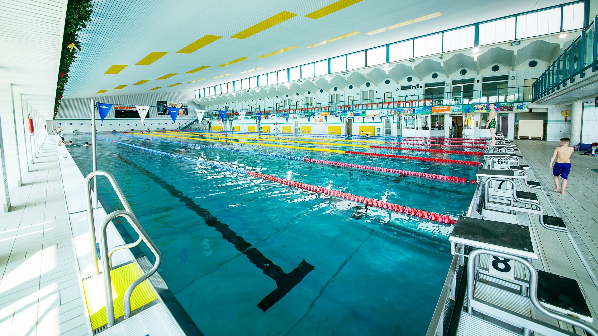 Blick aus Sicht der Startblöcke in der Schwimmhalle in Riesa, Sachsen