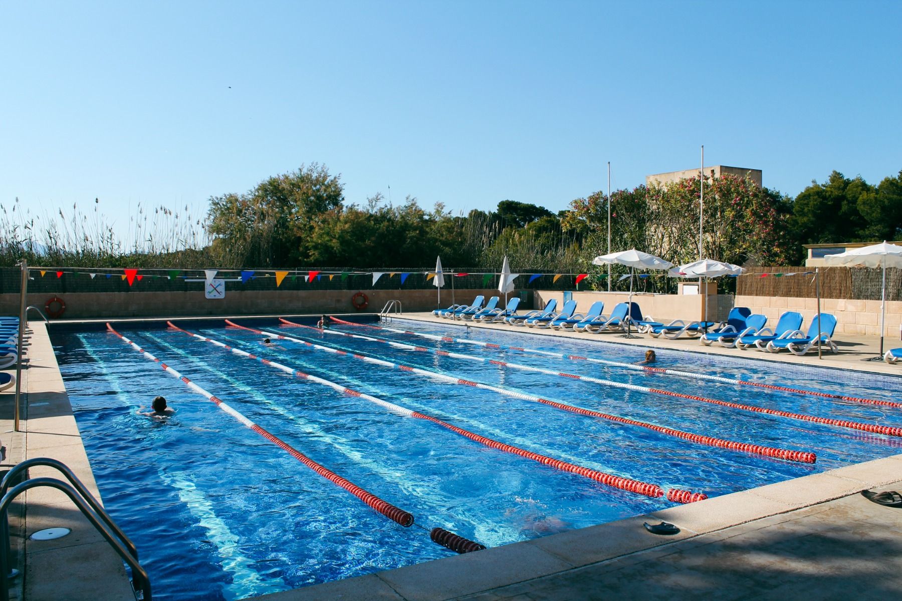 Freibad mit mehreren Schwimmbahnen, umgeben von blauen Liegen, Sonnenschirmen und grünen Pflanzen.